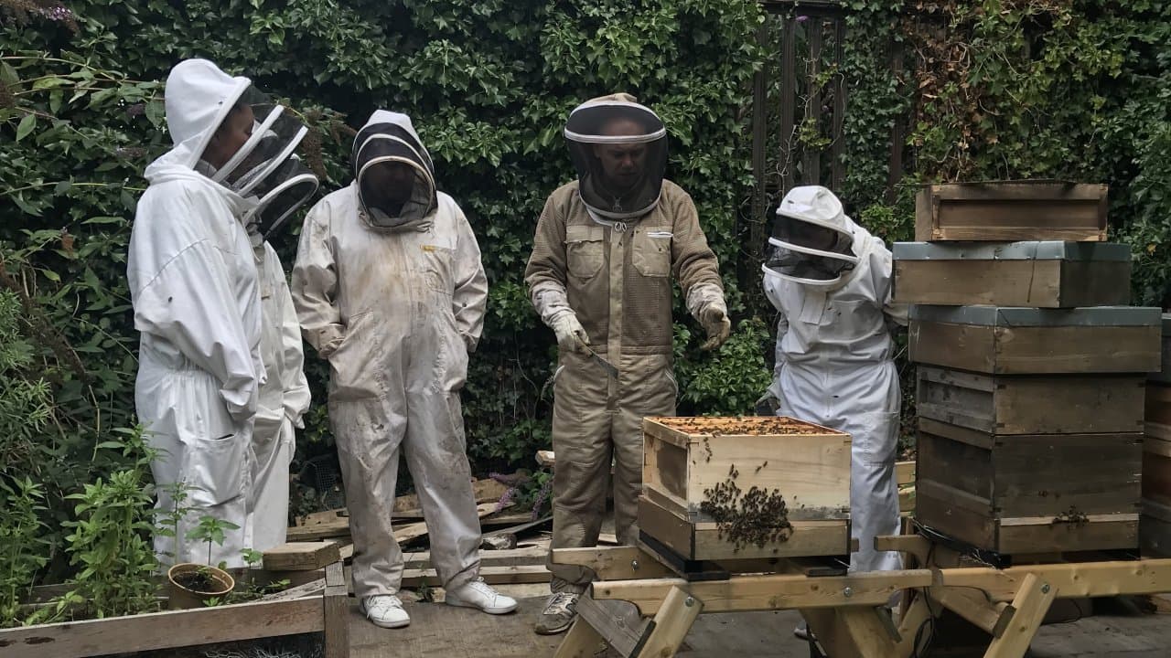 Bee8's Beekeeping Classes in Dublin 8 flyer